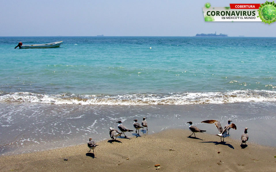Así lucen las playas de Veracruz gracias al encierro social por la covid-19. (@WebcamsDeMéxico)