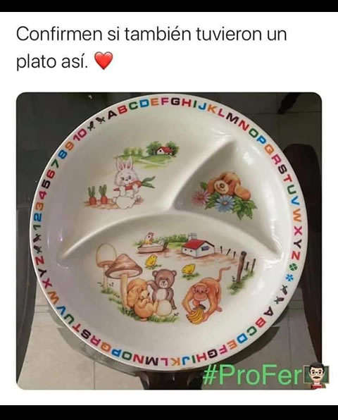 Confirmamos, todos comimos en un plato así.