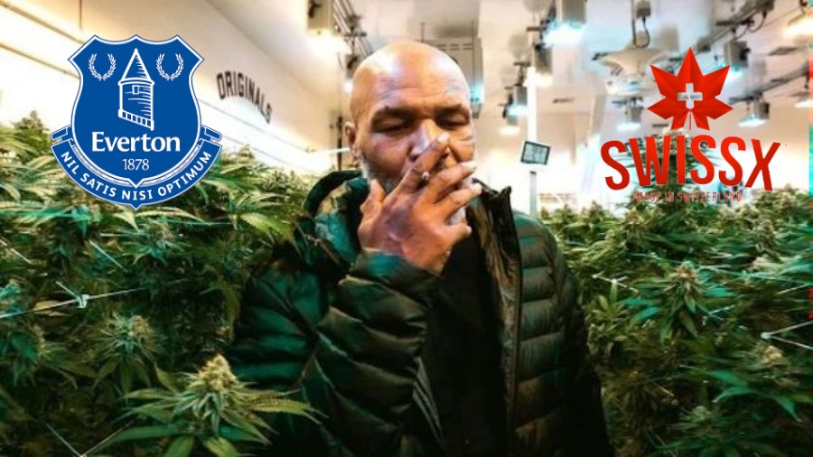 El expugilista ha despuntado con su empresa de marihuana.