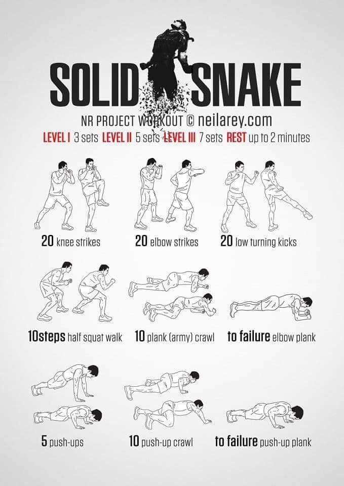 Solid Snake