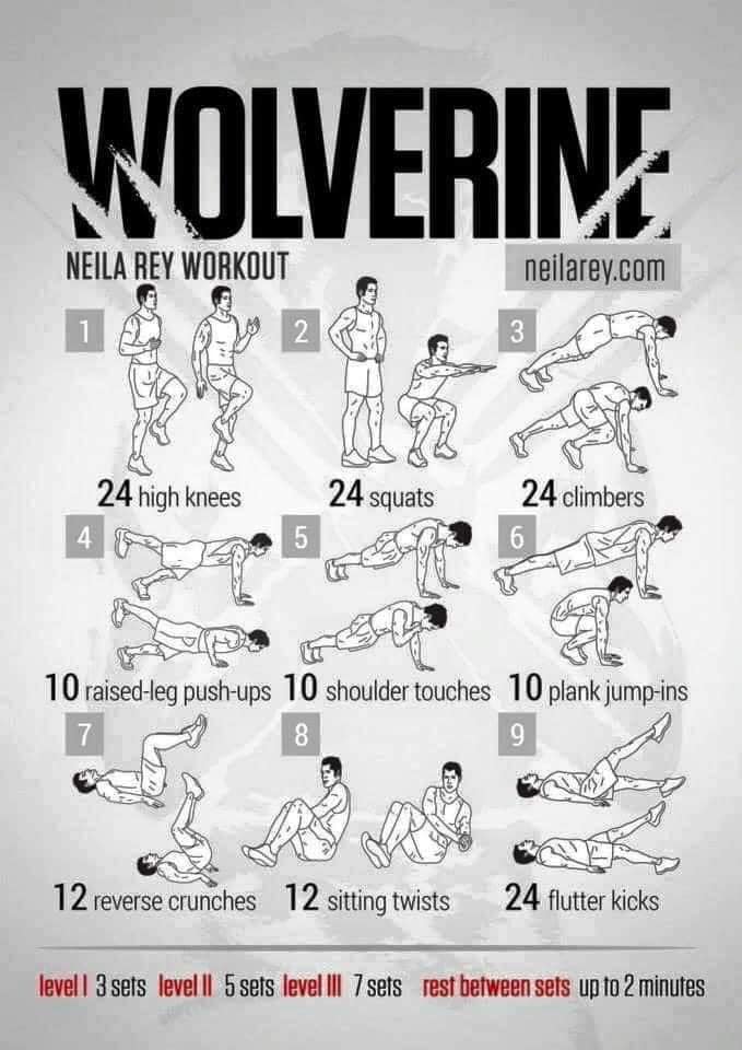 Wolverine