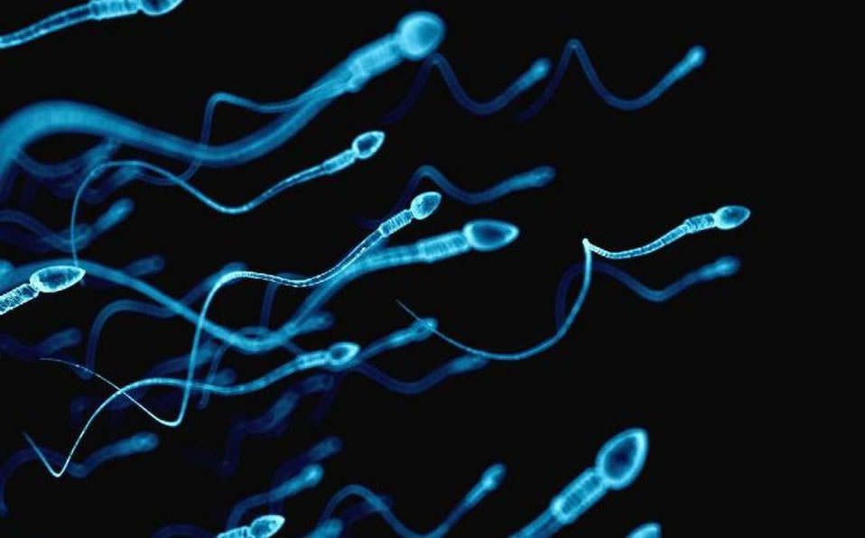 Los estudios siguen evolucionando para dar resultados más certeros sobre el contagio de covid-19.
