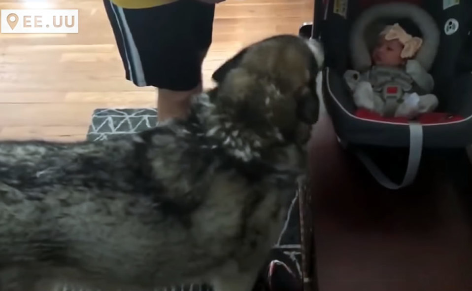 Dude fue bastante cálido con la recién nacida. (Captura de pantalla)