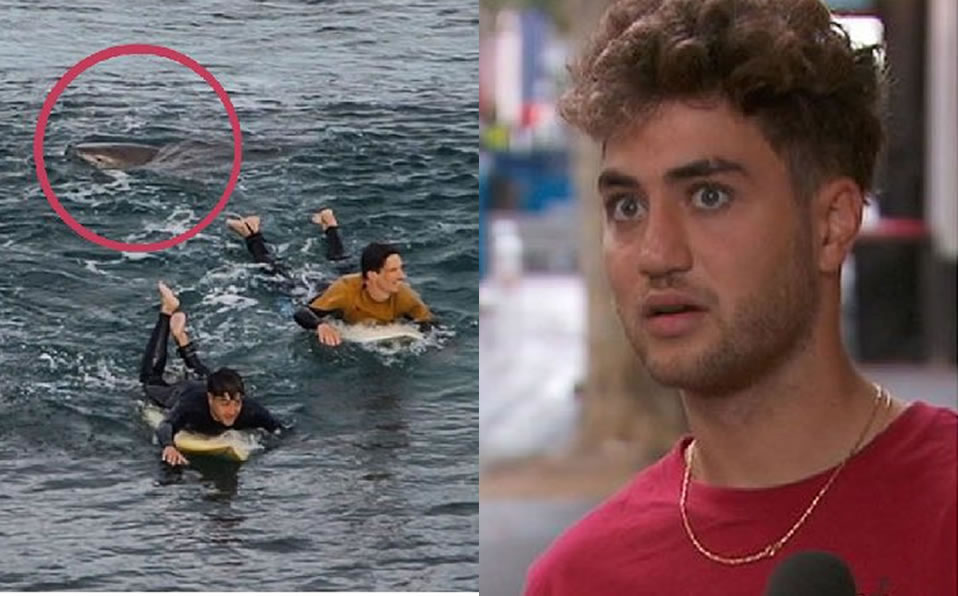 El surfista Dylan Nacass contó su experiencia (Captura)