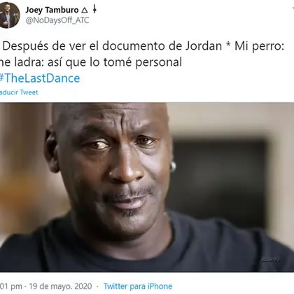 Ni los perros están a salvo del espíritu competitivo de MJ23.