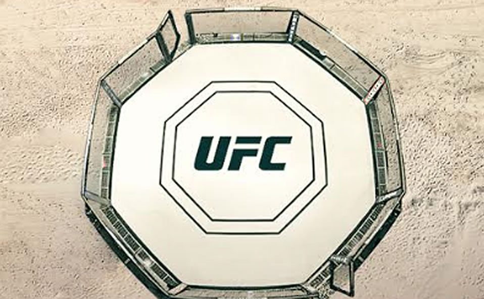 El octágono en la plaza. (UFC)