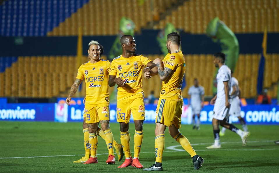 Tigres portada