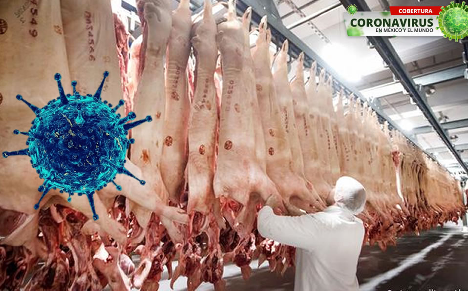 El rastro de Tönnies es el más grande de Alemania y suministra una quinta parte de la carne del país. (DW.com)