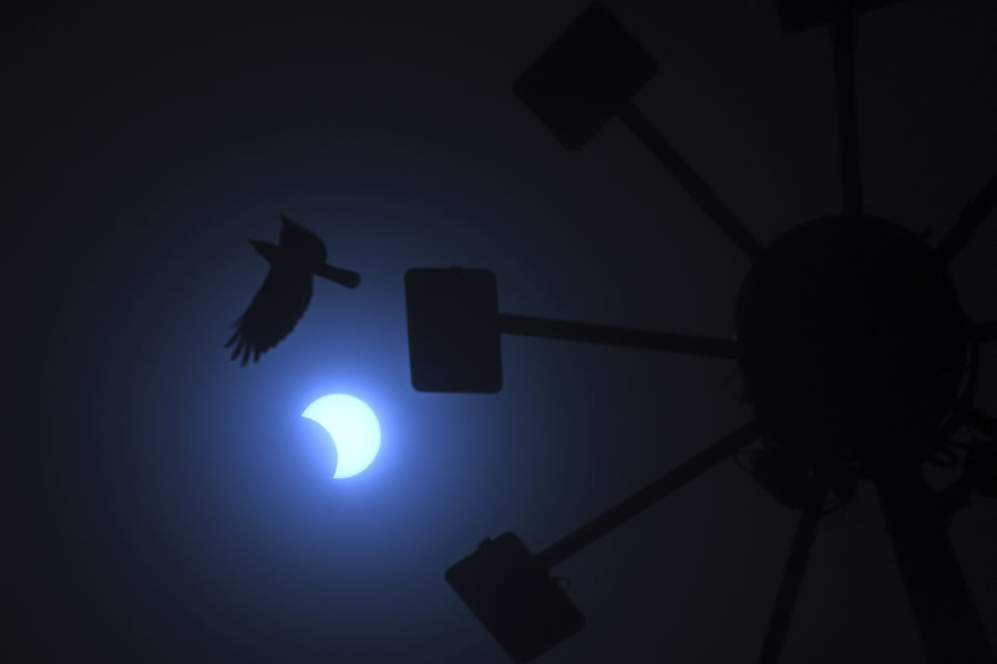 Un pájaro pasa volando mientras la luna se mueve frente al sol durante el eclipse solar anular desde Chennai. (Foto: AFP)