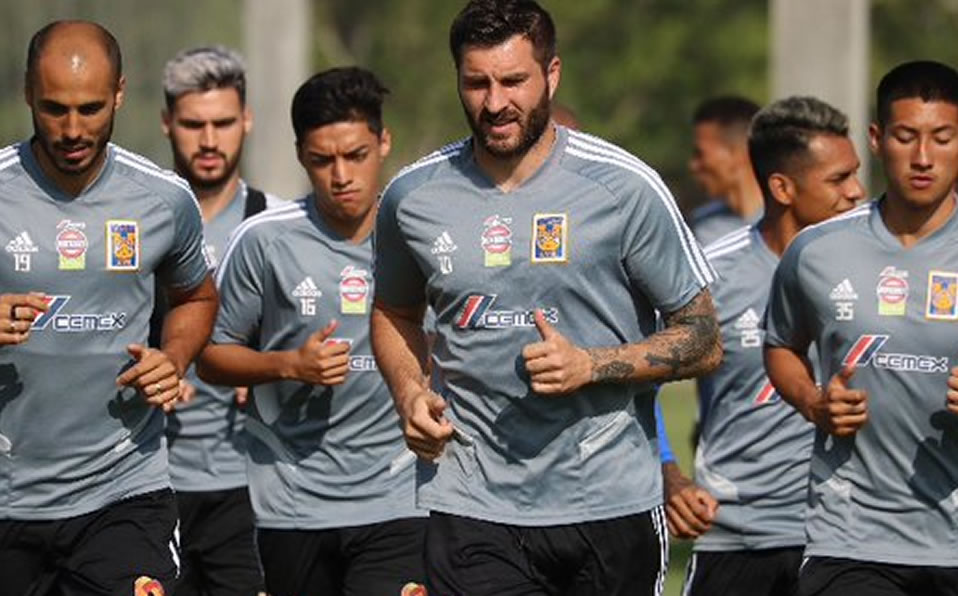 El equipo entrena en la cueva. (Tigres)