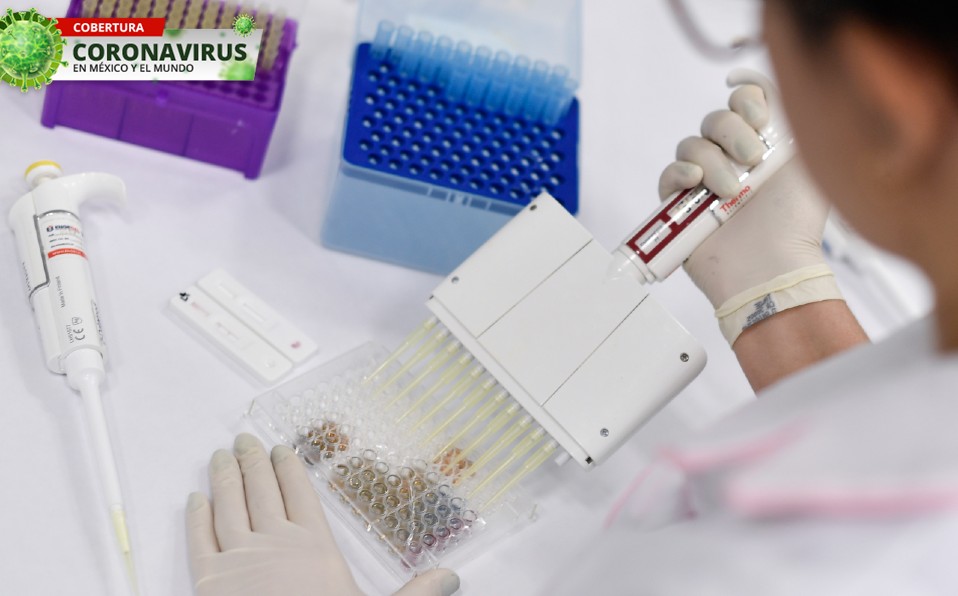 Científicos del Peking Union Medical College realizaron un experimento con macacos. Foto: AFP