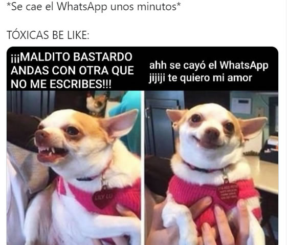 Todos tenemos una tóxica en la vida... ¿O solo yo?
