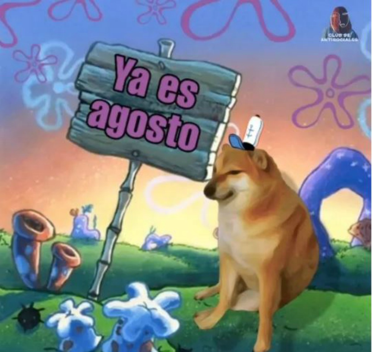 Memes del mes de agosto y final de julio