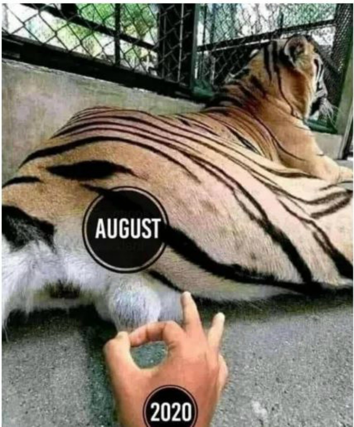 Memes del mes de agosto y final de julio