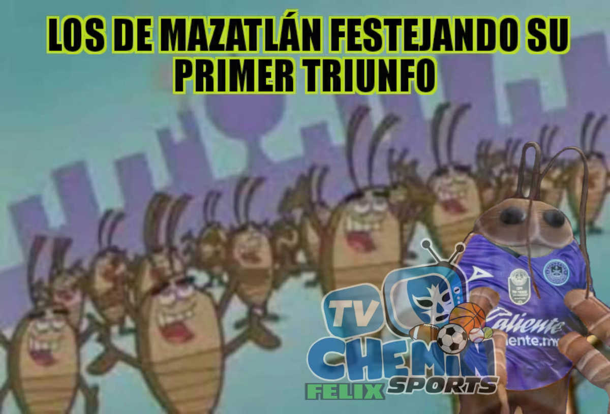¡Pachangón de las cucarachas y fierro pariente!