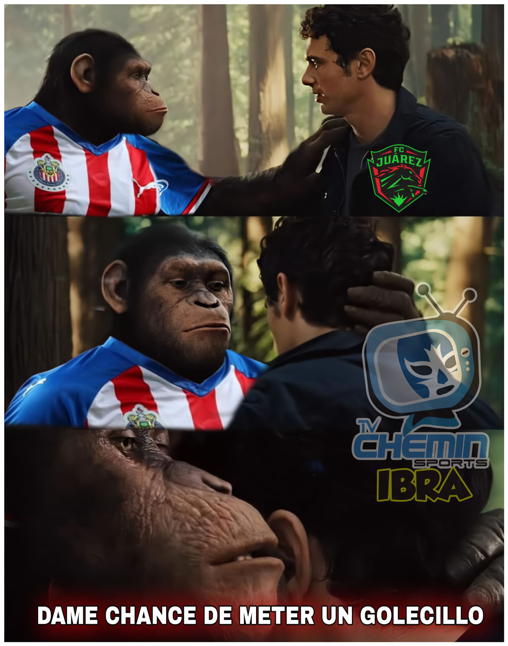 Viene la Fecha 4, Chivas jugará contra Bravos y ya pide favores.
