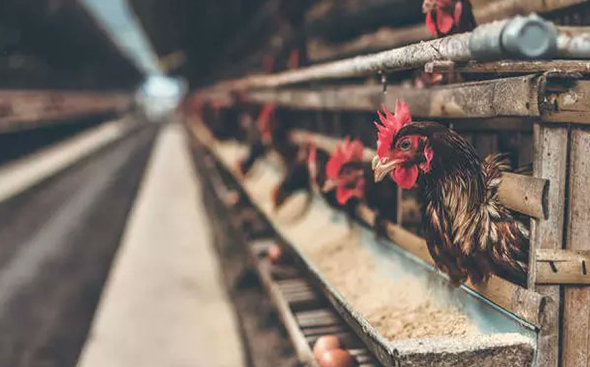 Las personas que estuvieron cerca del producto ya están en cuarentena. (Google uso libre)