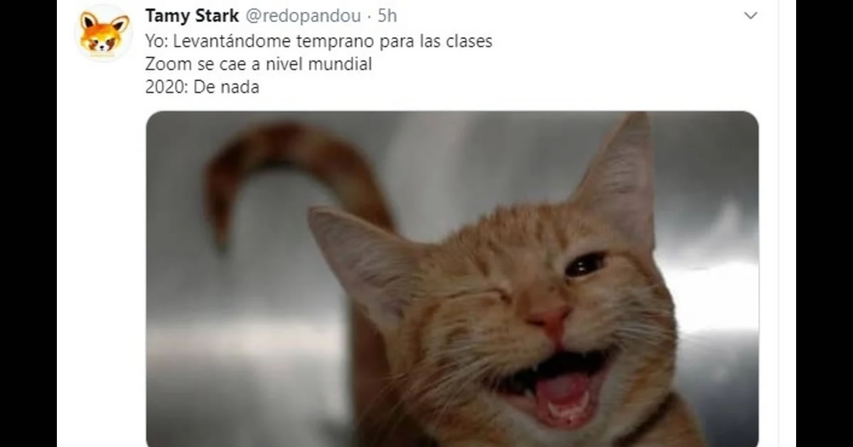 Recuerden que el regreso a clases fue virtual por la pandemia del coronavirus.