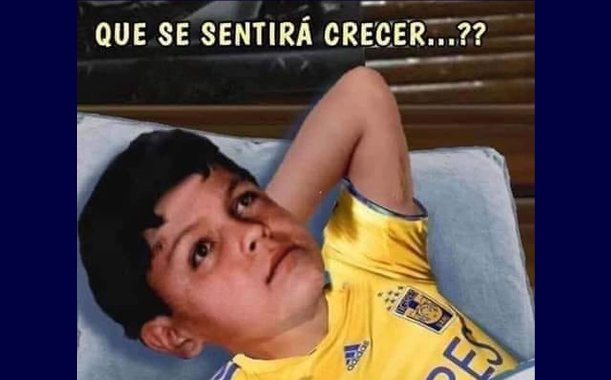 Los mejores memes de la Jornada 8 del Guardianes 2020.