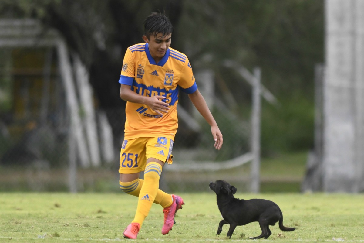 Tigres y Santos Sub-17 tuvieron un invitado especial (Foto: Imago7)