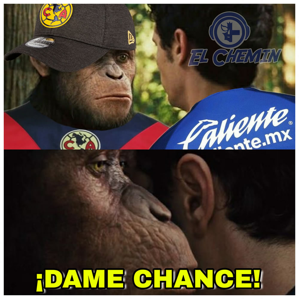 ¿Darte chance? ¡Aunque sea tira a gol, equipo ratonero!