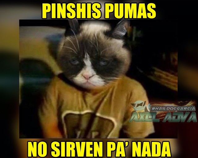 Foto: Cortesía