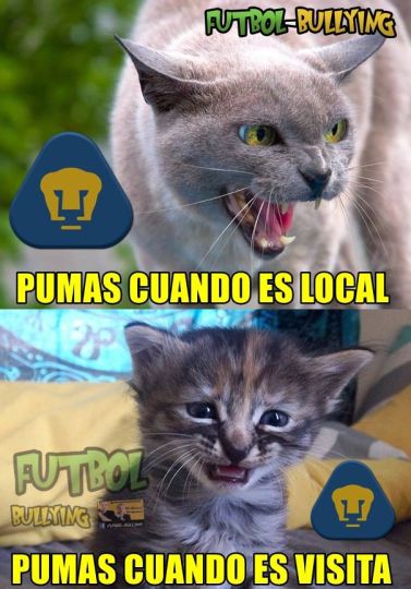 Foto: Cortesía