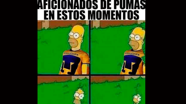 Foto: Cortesía