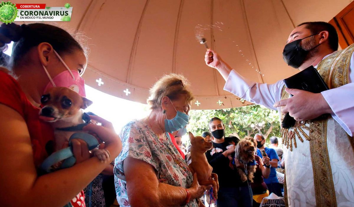 Coronavirus en México, las cifras oficiales al 5 de octubre del 2020. (AFP)