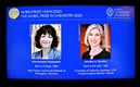 La francesa Emmanuelle Charpentier y la estadounidense Jennifer Doudna, ganadoras del Nobel de Química