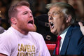 El Canelo se encuentra entrenando en los Estados Unidos. FOTOS: Imago7 | AFP.