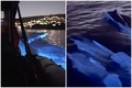 El mar en California ya se ha visto con con la fluorescencia por varias noches.