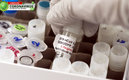 Vacuna coronavirus (AFP)