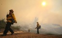 El incendio es en la localidad de Irvine, a 60 kilómetros de Los Ángeles. Foto: AFP