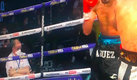 El juez Terry O'Connor viendo su celular en plena pelea con mexicano involucrado. (Foto tomada de la cuenta TW @WBCMoro)