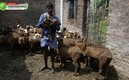 Los humanos estamos invadiendo el hábitat de los animales. FOTO: AFP.