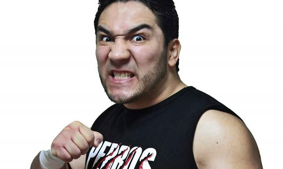 Hijo del Perro Aguayo (1979-2015)
