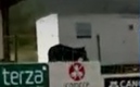 Ya son varias las veces que en NL se dejan ver osos. (Foto: Captura de video de Telediario)
