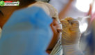 Rusia ya tiene dos vacunas patentadas para combatir al coronavirus. (AFP)