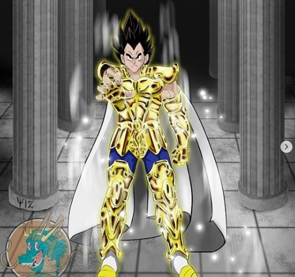 Vegeta (Instagram: @tallysoliveirasilva)