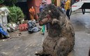 La botarga de rata causó gran impacto en la redes sociales.