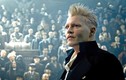 Johnny Deep ya no estará en la tercer entrega de Animales Fantásticos de Harry Potter