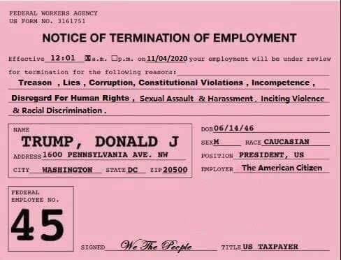 ¡Trump is the looser! Se desatan los memes tras derrota en elecciones