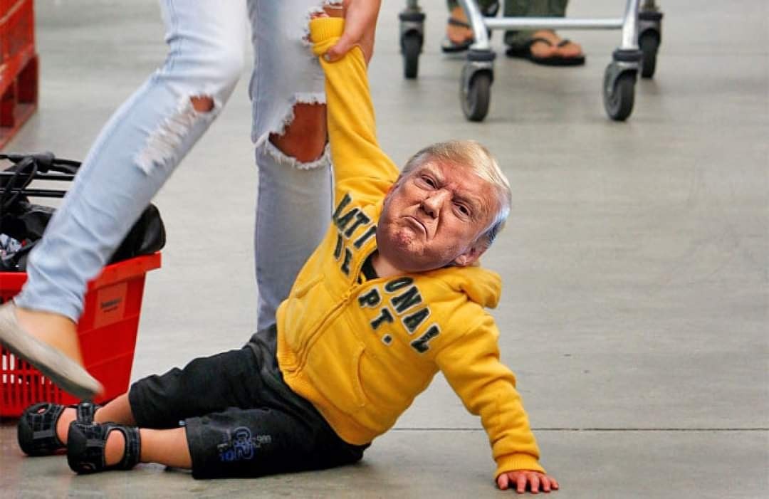 ¡Trump is the looser! Se desatan los memes tras derrota en elecciones
