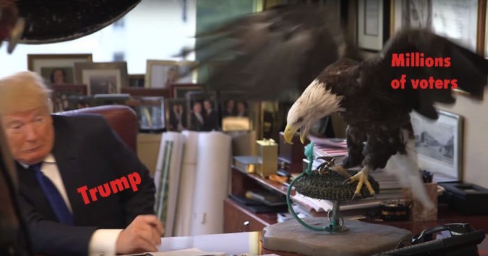 ¡Trump is the looser! Se desatan los memes tras derrota en elecciones