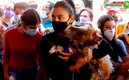 Los 20 municipios con más muertes y confirmados por coronavirus