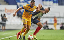 Tigres no ha ganado algún título desde el Clausura 2019. (FOTO: Mexsport)