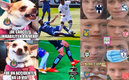 ¡Llegaron los memes!