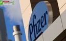 Pfizer pediría la autorización de emergencia para su vacuna contra el covid. Foto: AFP