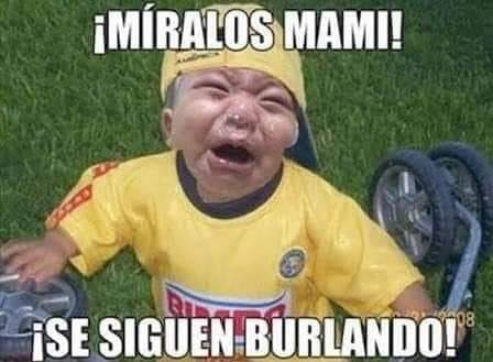 Todos tenemos un amigo o conocido que así se puso con la derrota contra Chivas.